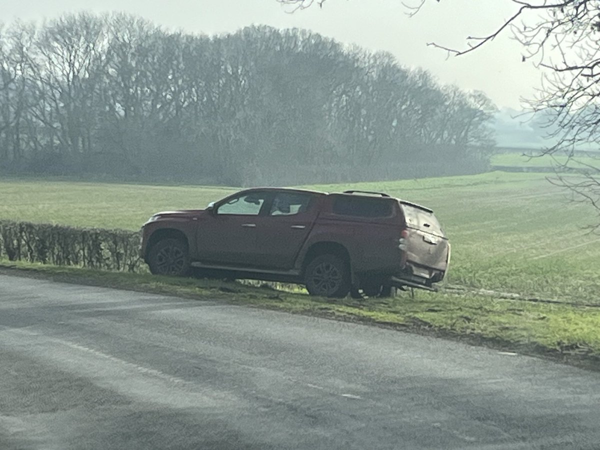 Tiggertagg1's tweet image. When your agronomist is on farm all day and he’s not selling you chemical 👍👍
#pigeoncontrol