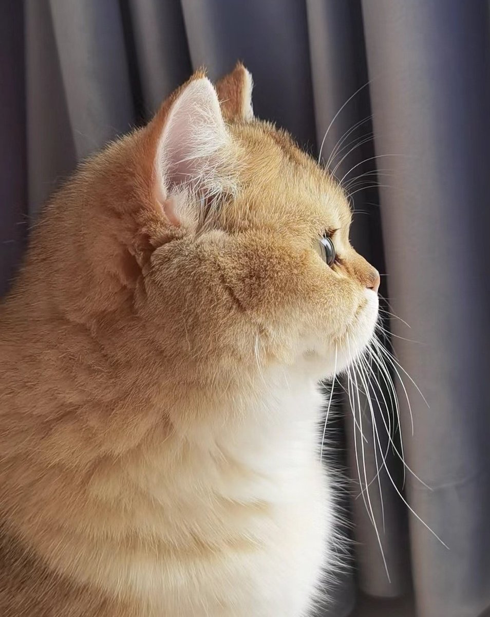 👀✨️

#新田真剣佑 ＃Mackenyu