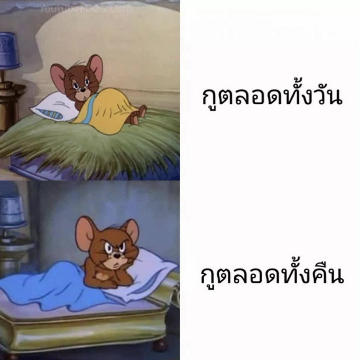 ช่างแม่ง🐰🏳️🌈 tweet media