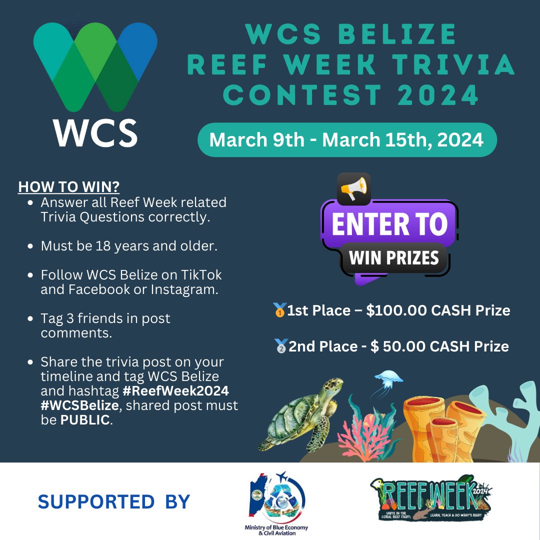 WCSBelize's tweet photo. Dive into ๐๐๐๐
๐๐๐๐ค ๐๐ซ๐ข๐ฏ๐ข๐ ๐๐จ๐ง๐ญ๐๐ฌ๐ญ ๐๐๐๐ and stand a chance to win BIG!
๐๐๐ค๐ ๐ญ๐ก๐ ๐ช๐ฎ๐ข๐ณ ๐ก๐๐ซ๐:
https://t.co/KjyhmK58OI
#ReefWeek #WCSBelize #corals
#WeStandForWildlife and Wild Places https://t.co/8P37aNlPYn