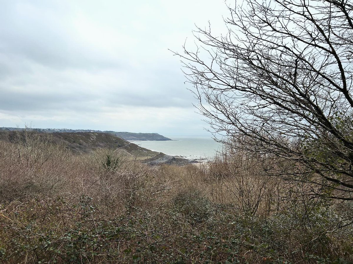 AdvFromWales's tweet photo. Some snaps from today’s walk on the south coast of the #Gower, a circular from Southgate taking in Brandy Cove and Pwlldu Bay. 

—
#Wales #WalkWales #Swansea #TheGower #WelshCollection #KeepWalesWalking #Walking #Hiking #Active https://t.co/BCcgmabJ6T