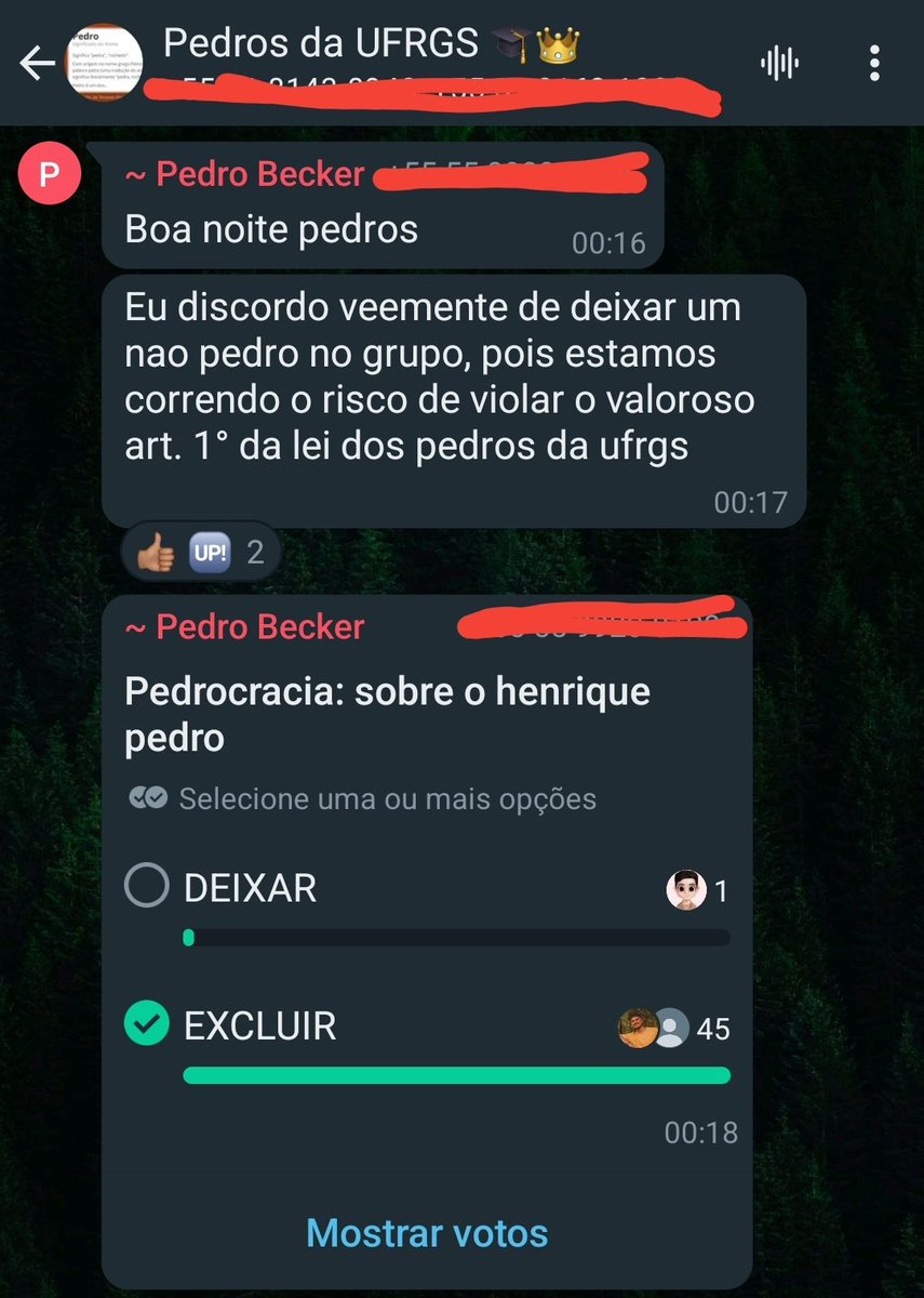 pedrohsfp's tweet photo. Entrou um Henrique Pedro no grupo dos Pedros da UFGRS e isso fere 50% das regras do grupo.

A lei foi cumprida e a democracia exercida. Henrique Pedro será expulso. Atitude difícil, porém necessária para a manutenção da ordem entre os Pedros. https://t.co/uy9D1V9ZhJ