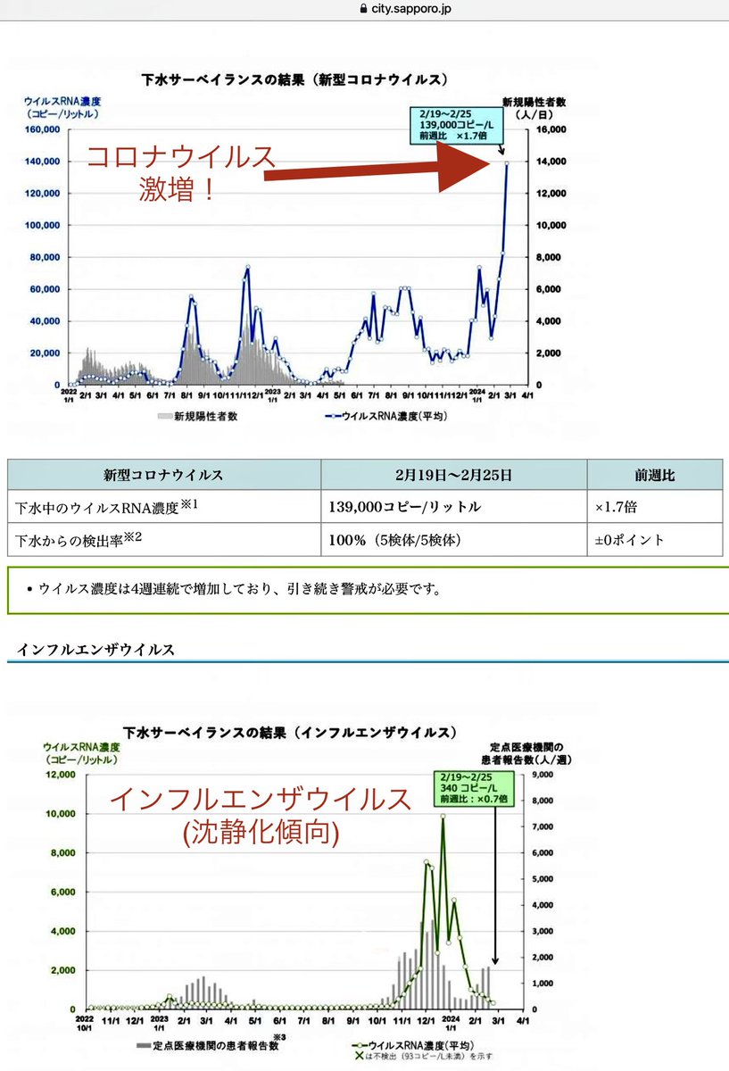 【コロナウイルスが爆増しています】 グラフは札幌市の下水サーベイランスによるウイルス量調査。 大流行したインフルが2月に沈静化した途端にコロナウイルスが未だかつてないほど爆増しているのが分かります。…