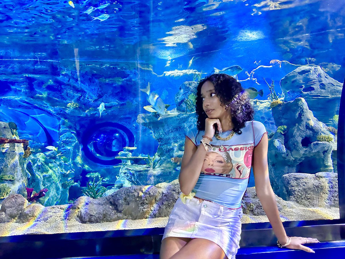 bunnyeona_'s tweet photo. Aquarium date🪼🫧
•
•
•
•
•
#RYSD #road𝓨selcaday #roadyselcaday #HUNTER #헌터 #싸이커스 #XIKERS #로디 https://t.co/wnMLOP99Tc