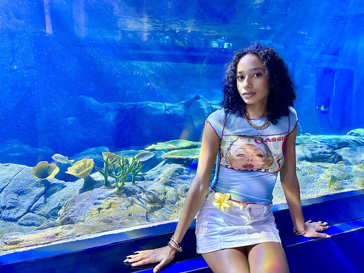 bunnyeona_'s tweet photo. Aquarium date🪼🫧
•
•
•
•
•
#RYSD #road𝓨selcaday #roadyselcaday #HUNTER #헌터 #싸이커스 #XIKERS #로디 https://t.co/wnMLOP99Tc