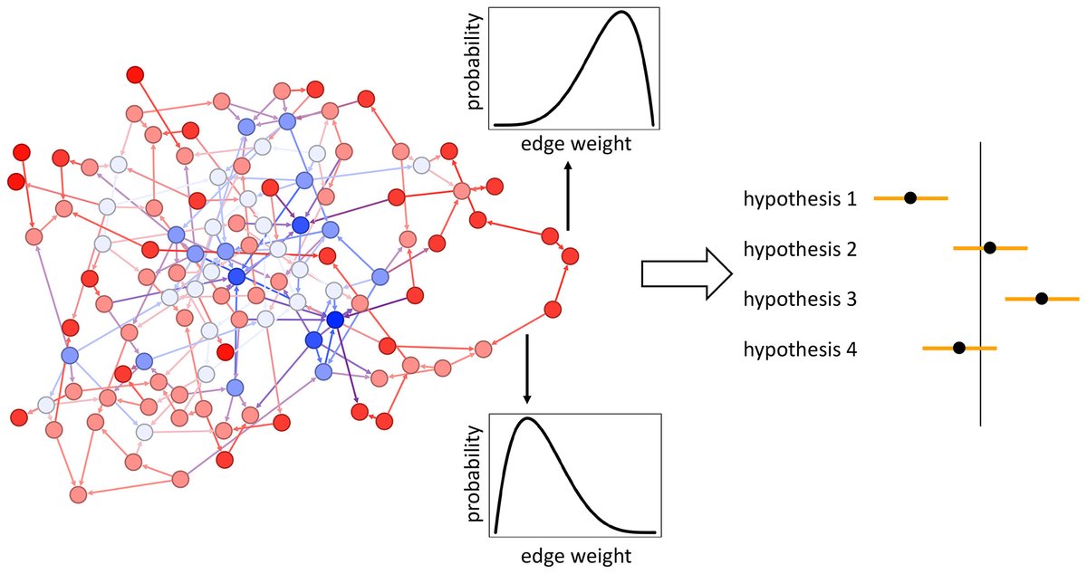 ⭐️Research Highlights by @DamienFarine in @AnimalEcology - STRAND R package enhances animal social network analysis: offers generative networks models and a Bayesian framework enabling the propagation of uncertainty besjournals.onlinelibrary.wiley.com/doi/full/10.11…