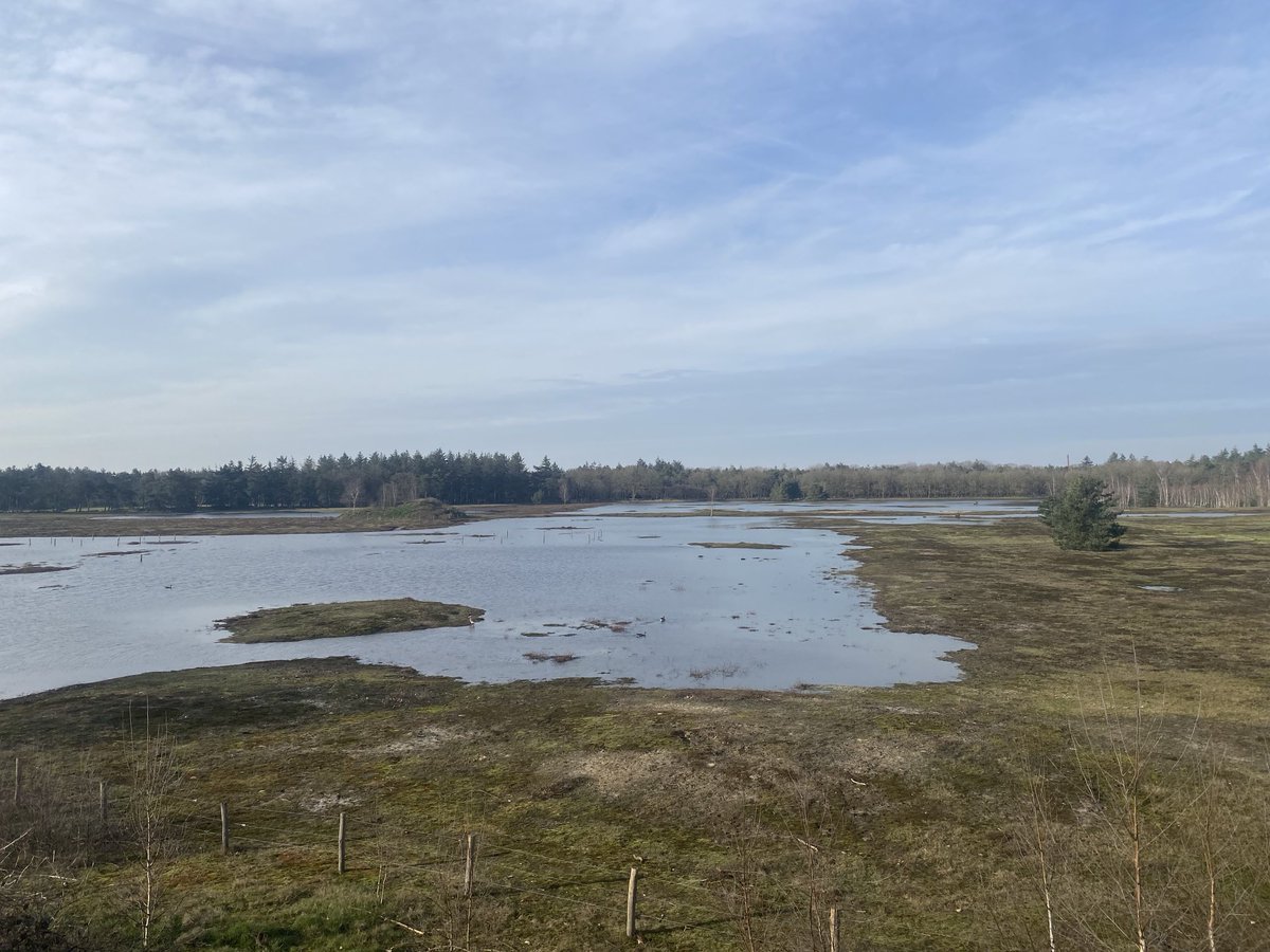 MLVC's tweet image. Lapland? Nee Molenheidse bossen tussen Sint Hubert en Wilbertoord. Een bezoek waard.