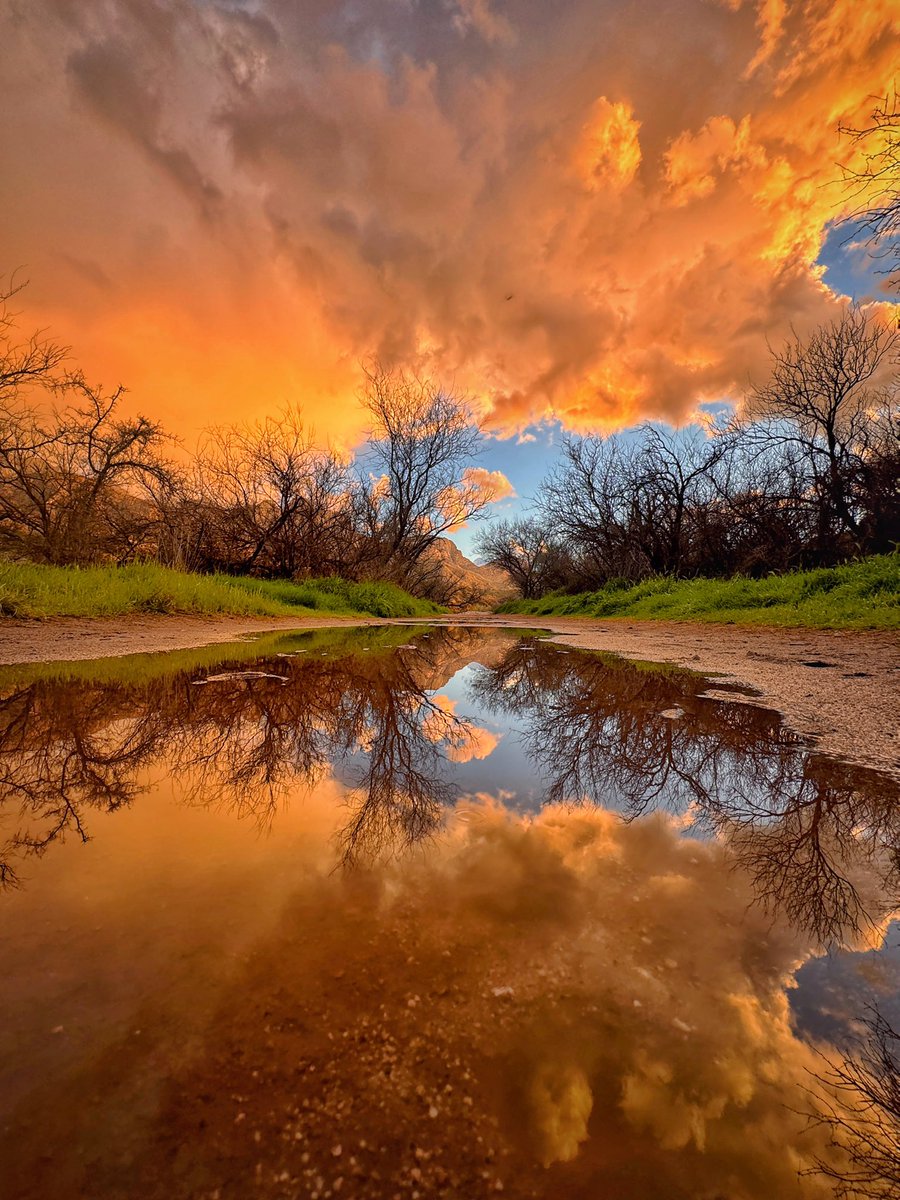 Allophile's tweet image. A memorable spring evening in the AZ desert: wildflowers, flowing water, and a rainbow to top it off:
instagram.com/reel/C4THoedr7…
@ThePhotoHour @StormHour 
#getintotheoutthere #azwx
@VisitTucsonAZ @Apple #shotoniPhone15proMax