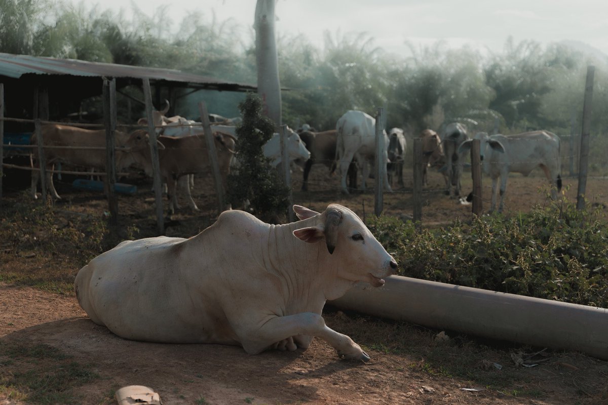 The Portret Studio Kangar tweet media