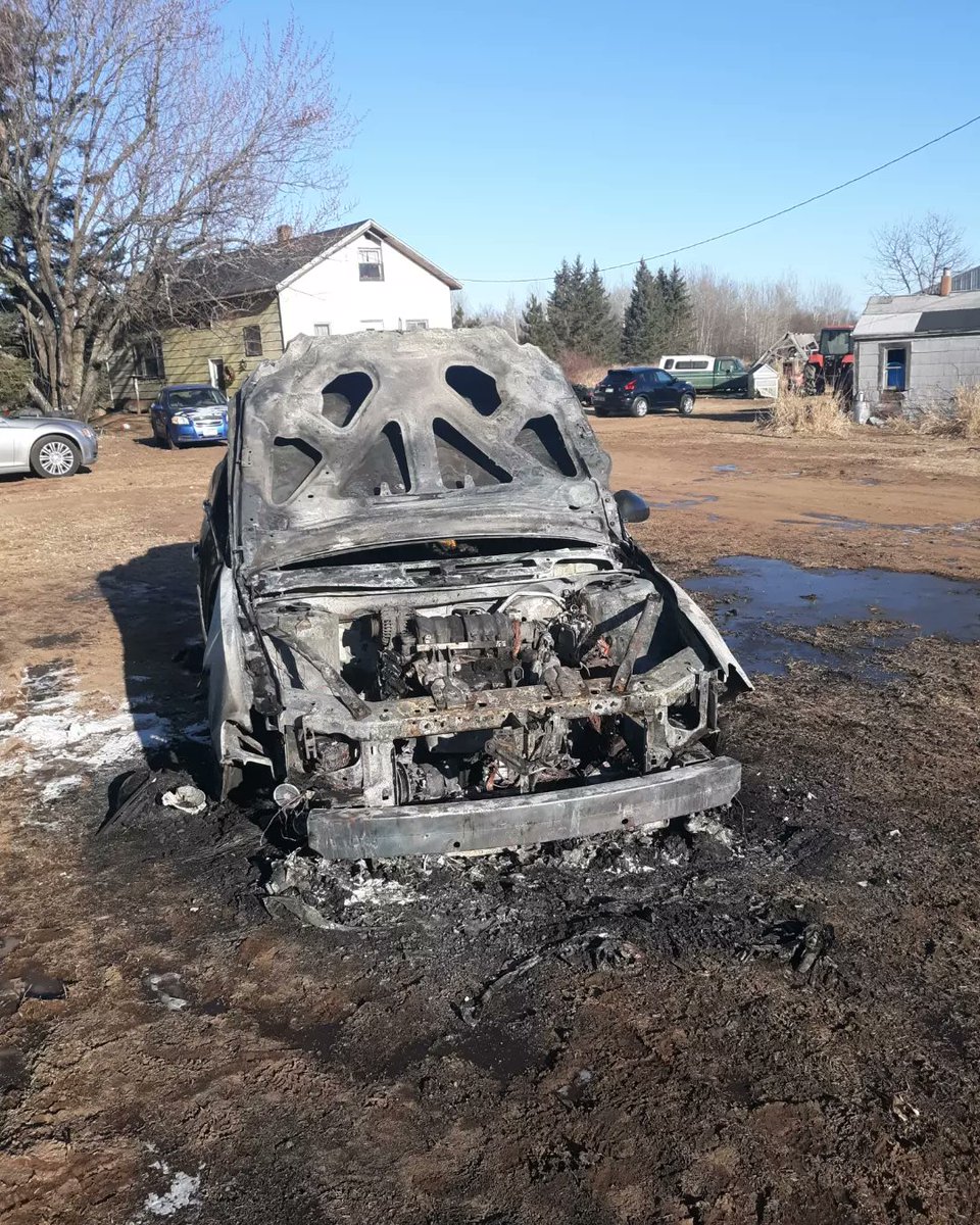 #BMT *Prømøtiøñ§* 🎼🎧🍂🕸💀🌹⏳️🐿🦝 tweet media