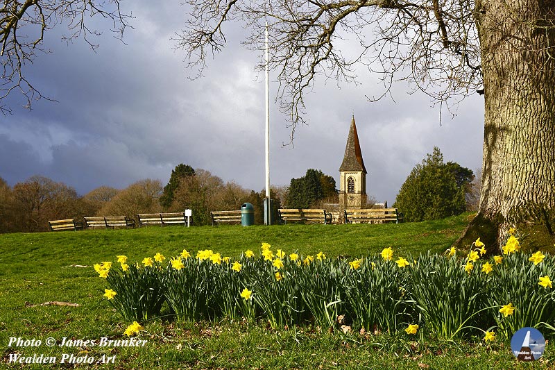 #Daffodils and St Peters church on #Southborough Common #Kent , available as #prints here: james-brunker.pixels.com/featured/sprin…
With FREE SHIPPING in the UK: lens2print.co.uk/imageview.asp?… #AYearForArt #BuyIntoArt #yellow #spring #springtime #wallart #ruralscenes #flowers #floral #TunbrdgeWells