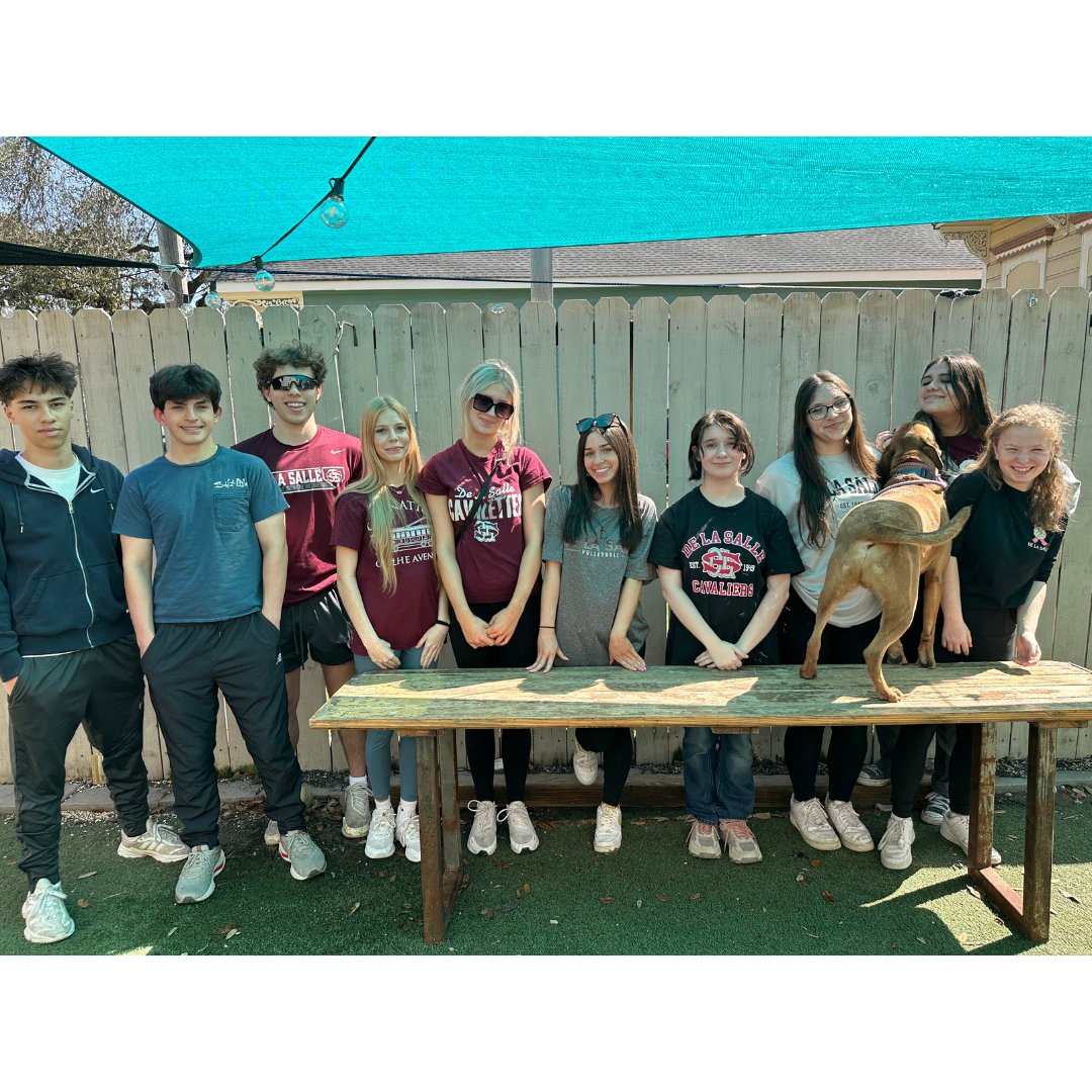 DLSStudents's tweet photo. A round of applause for our Cavs and Take Paws! Last month, our Cavaliers spent a Saturday of service giving back to @TakePawsRescue and @StrayCafe by cleaning kennels, walking, and most importantly - playing with the pups! Way to #LeadOn Cavs! https://t.co/5ekwvitinR