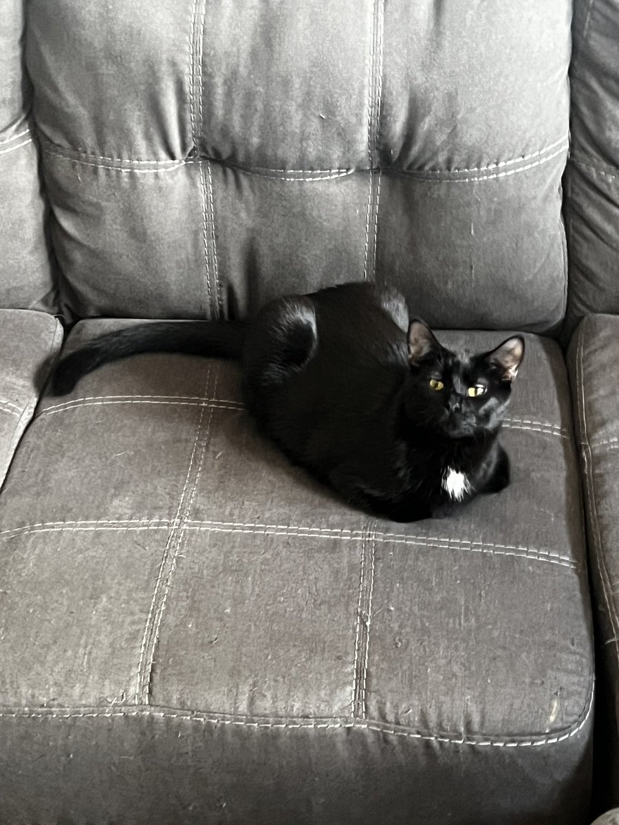 POV mason looks at you smugly