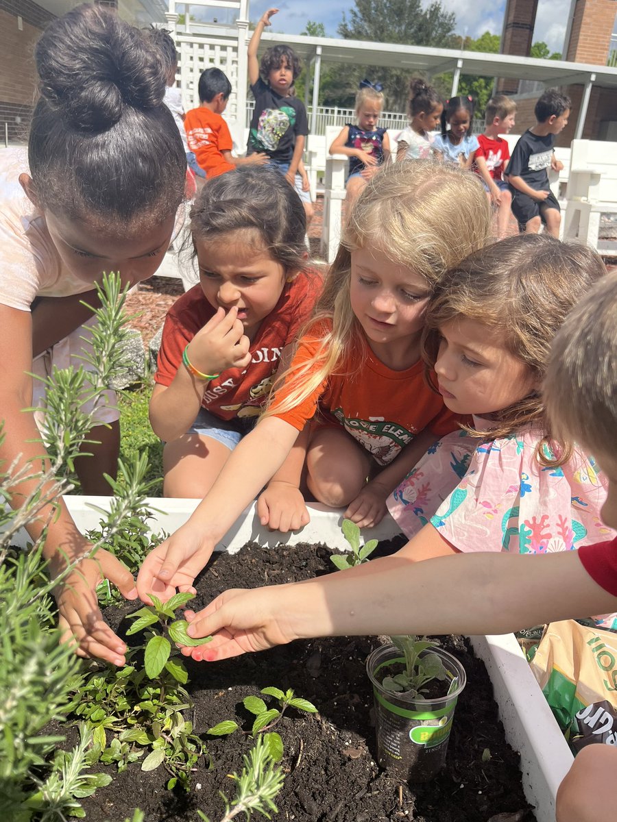 Citrus Grove Elementary, Deland FL tweet media