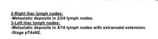 Mohamed Elsaqa tweet media