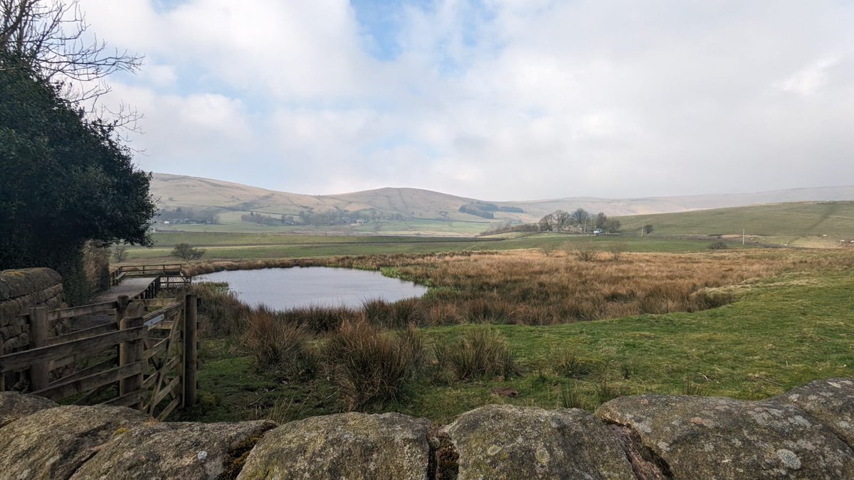 Mr Walsh Discovery tweet media