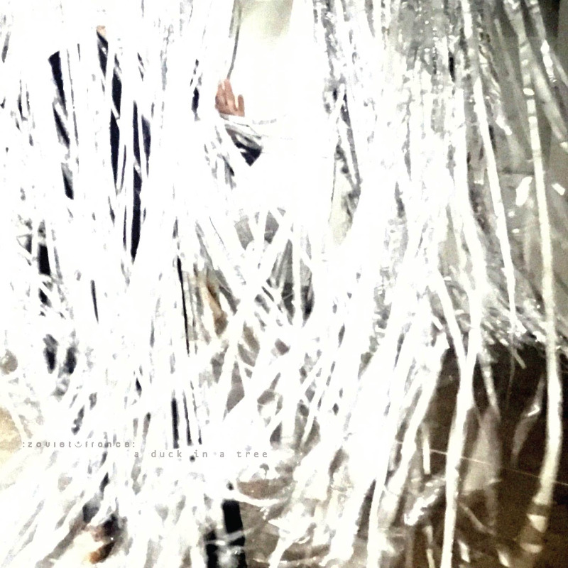 Starting in five minutes on <a href="/cjmpfm/">CJMP 90.1FM</a> 90.1 FM in Powell River, BC and online: the latest edition of A Duck in a Tree, the :zoviet*france: radio show cjmp.ca/listen-live