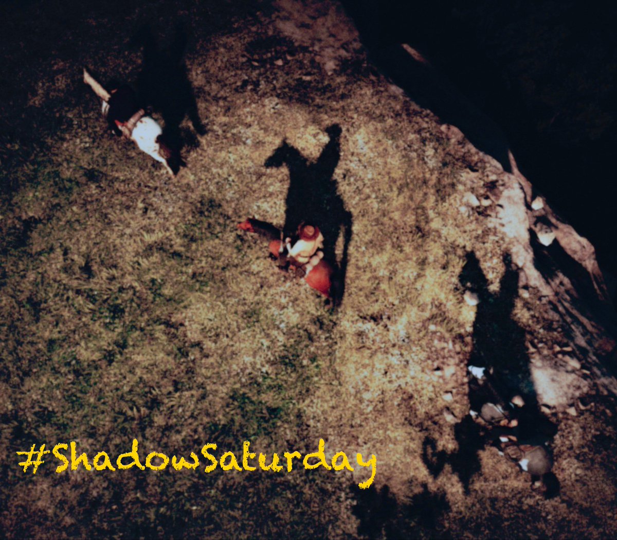 VP__United's tweet photo. Introducing #ShadowSaturday
A new theme! tag us in your shots that incorporate Shadows or Shadows of the in-game Character(s) https://t.co/BjdPwKo3lR