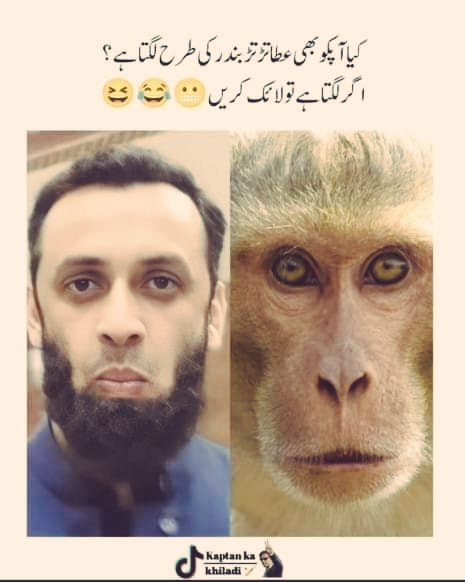 JunejoFaiq's tweet photo. @TararAttaullah 
mandate choor https://t.co/18prxi93l5