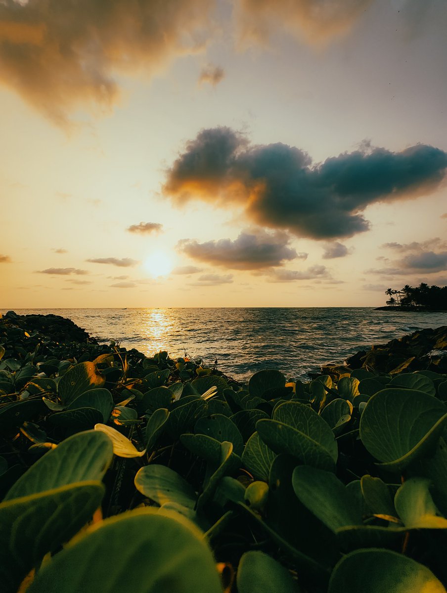 RajeshRKurup1's tweet photo. Every sunset is an opportunity to reset..✨
Shot on @nothing Phone (2)
Powered By @Snapdragon @nothingindia
#ShotOnSnapdragon #withNothing #UnitedBySnapdragon @nothingarabia
#NothingPhone2a
#ShotOnSnapdragon
#SnapdragonCovers @getpeid
@rohitspeakshere @Snapdragon_DE https://t.co/8OJjgSfavh
