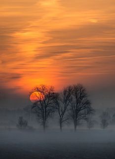 🧡❤️

Good evening
Sunset on the Tree
Gorgeous Landscape
🌲🧡❤️