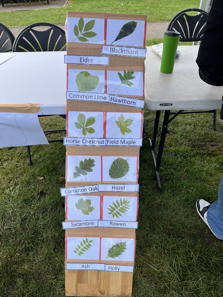 Alex Brewer MP 🔶 tweet media