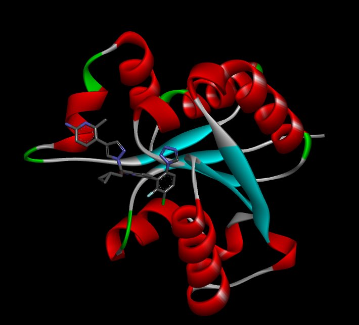 Protein binding a small molecule designed with RFDiffusion-AA yesterday. I'm such a huge fangirl for these all-atom models. Baker Lab is awesome!