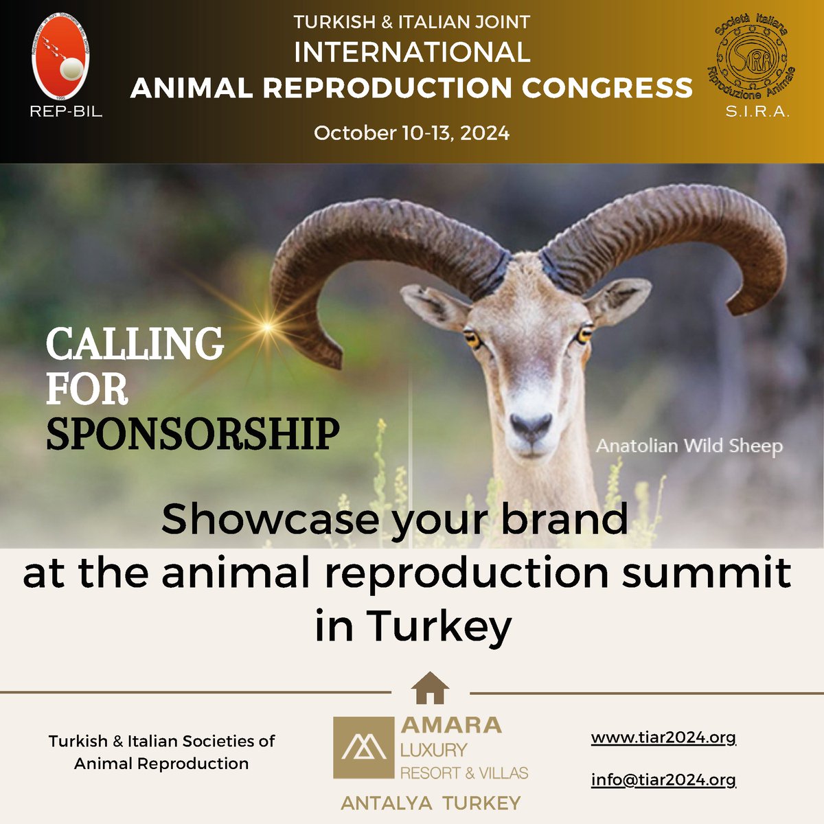 tiar2024's tweet photo. Calling for sponsorship.
https://t.co/YufSMtG3UZ https://t.co/O5jU5Flu8f