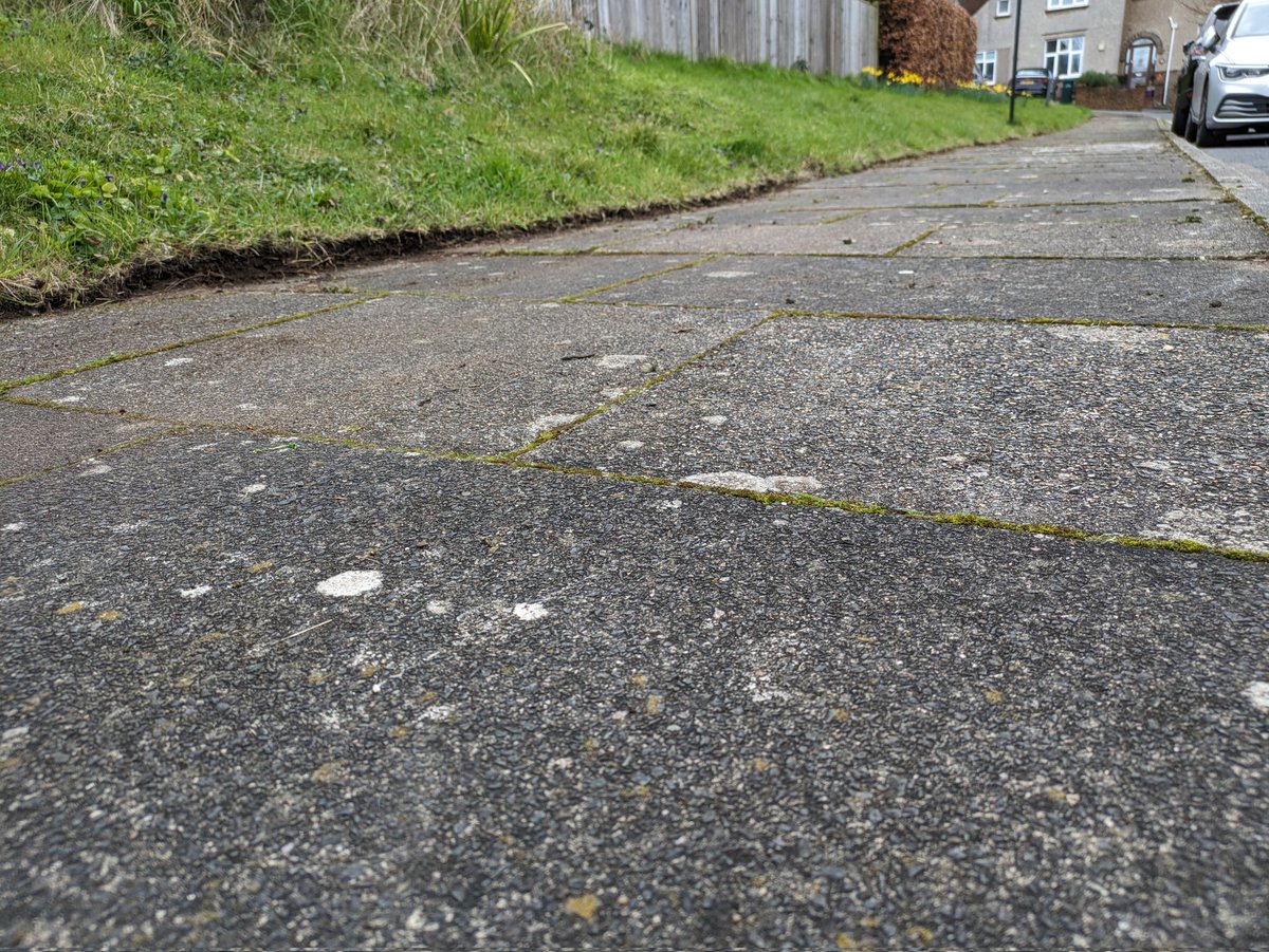 Airhead2's tweet photo. Dear Brighton and Hove residents, we can do this without glyphosate, work work family, friends and neighbours to your paths. You know it makes sense!  @SteveGeliot @PKBook22 @PAN_UK @ButterflyDan @LatestTVBtn @LivingCoastUK @CPRESussex @btnhovewildlife @CoLeeves @Kate_Bradbury https://t.co/3l5gUT9Vni