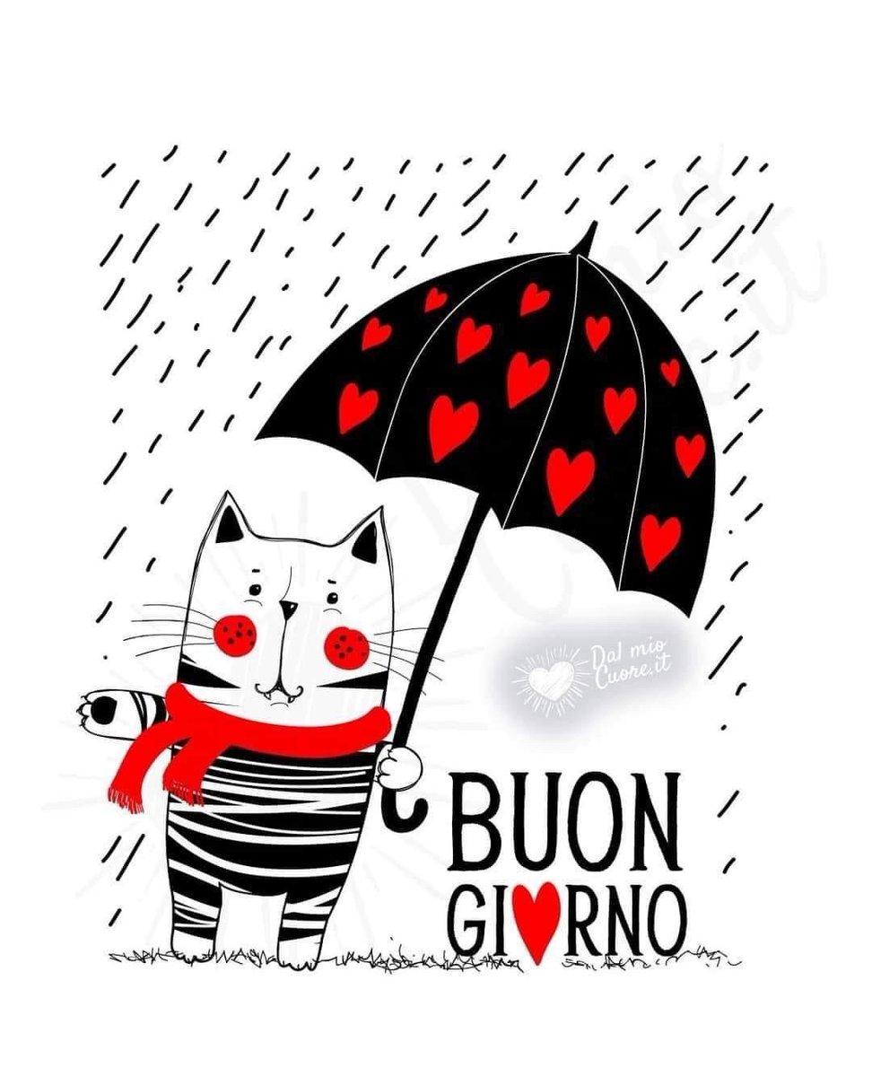 mancino franco 🌟 🌟 🌟 🌟 🌟 (@mancinofranco1) on Twitter photo 