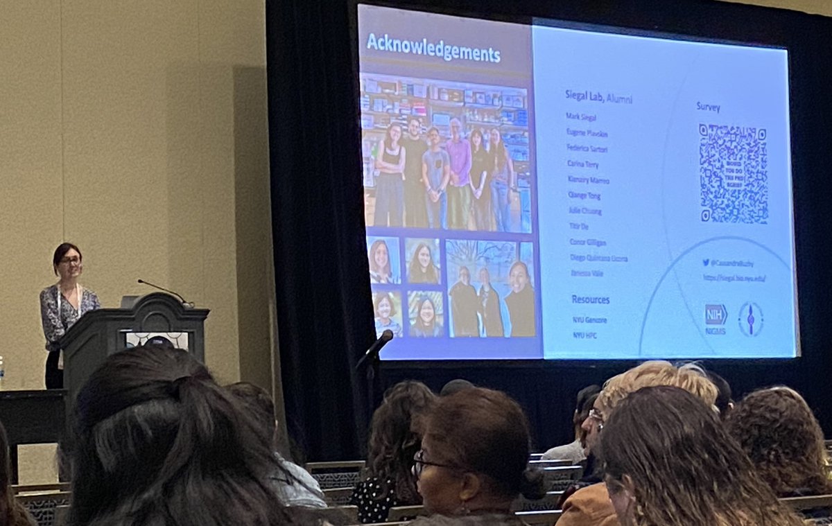 Randi_R_A's tweet photo. 👏🏻👏🏻👏🏻 to @CassandraBuzby for her talk on epistasis and copper sulfate resistance using chromosome fixation and BSA! #TAGC24 https://t.co/KW8sutt4hY