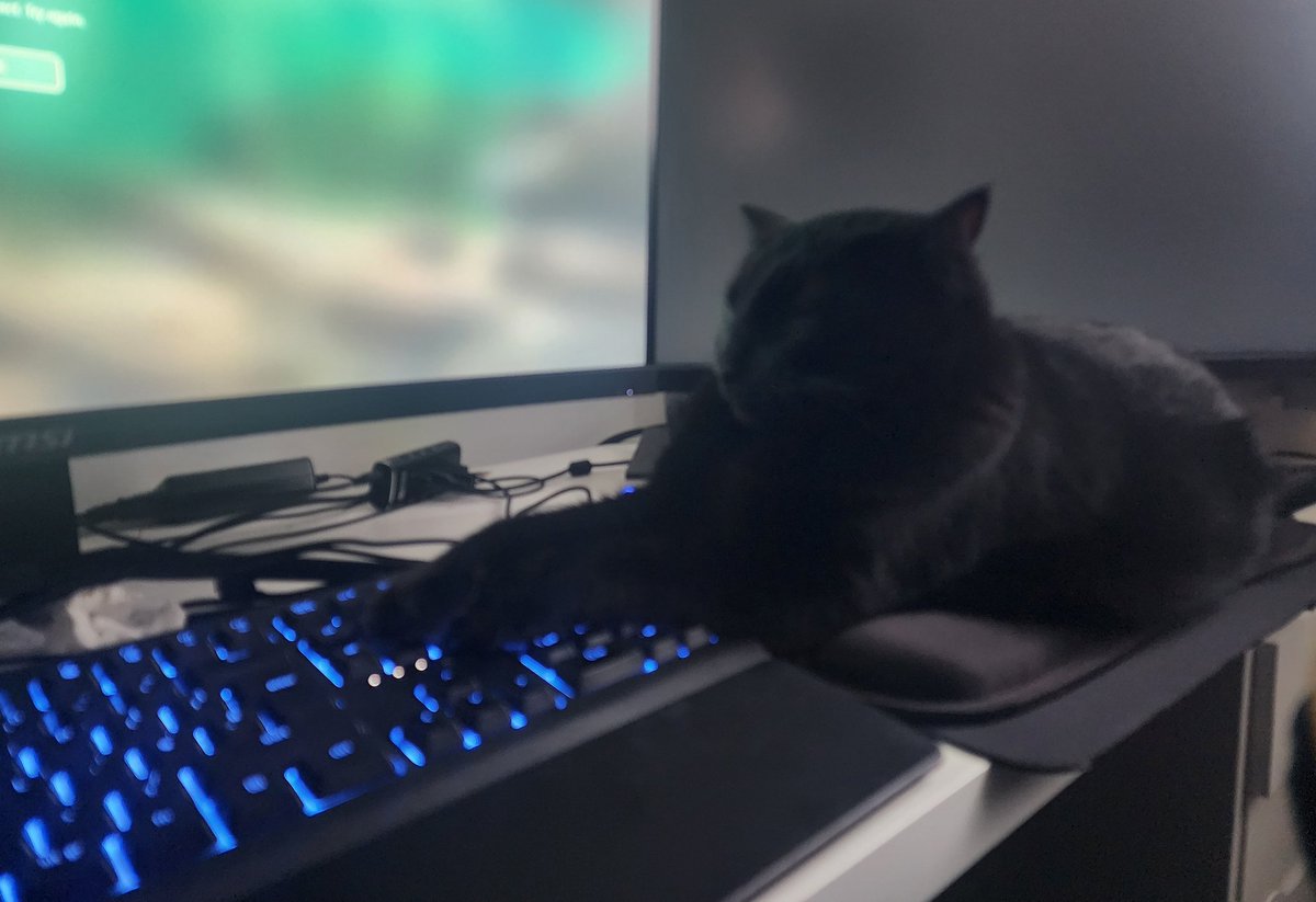 I mean I could sit in any other room, on one of my many beds, or maybe the floor or maybe your knee

But on top of your mouse, TV remote and blocking your keyboard so you can't do anything sounds more fun

Signed

Ripley