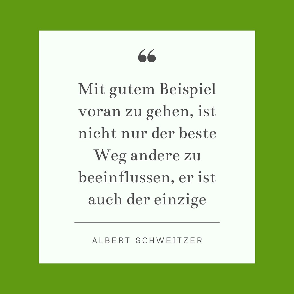Mit gutem Beispiel voran zu gehen, ist nicht nur der beste Weg andere zu beeinflussen, er ist auch der einzige - Albert Schweitzer

#zitat #sprüche #nachhaltigkeit #gutesbeispiel #albertschweitzer