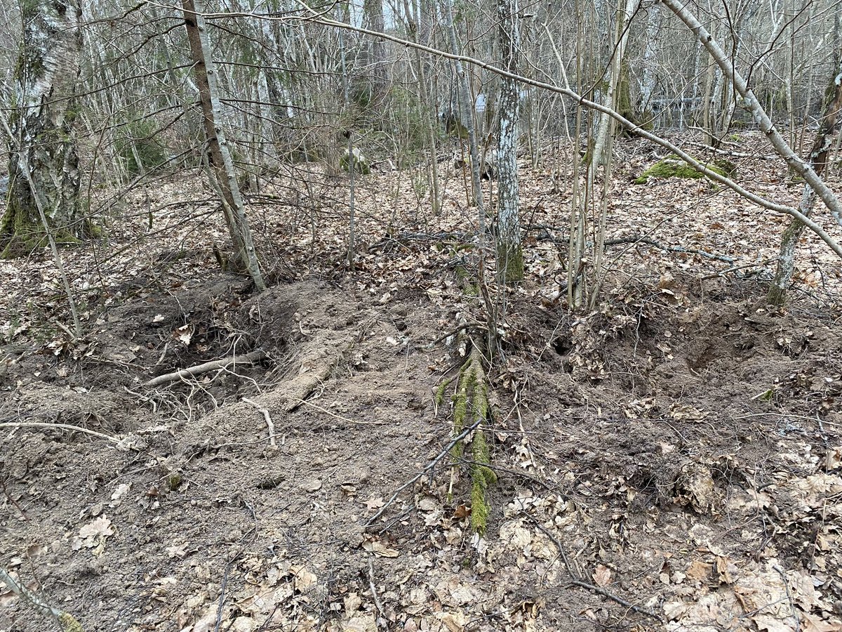 Lars Mouwitz tweet media