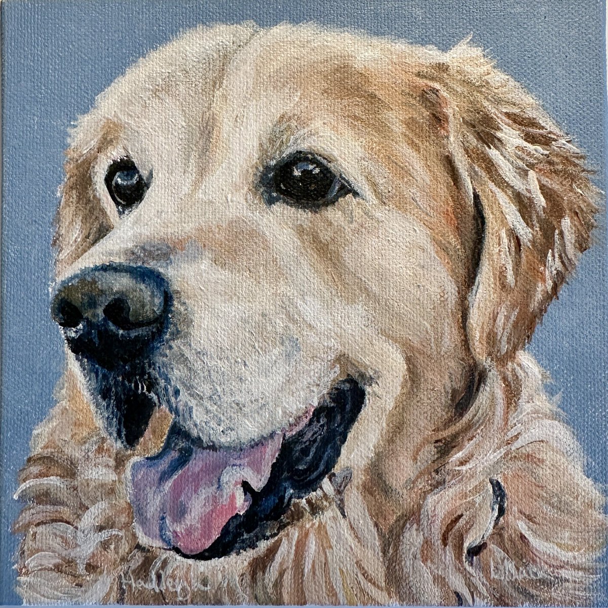 themac49 tweet media