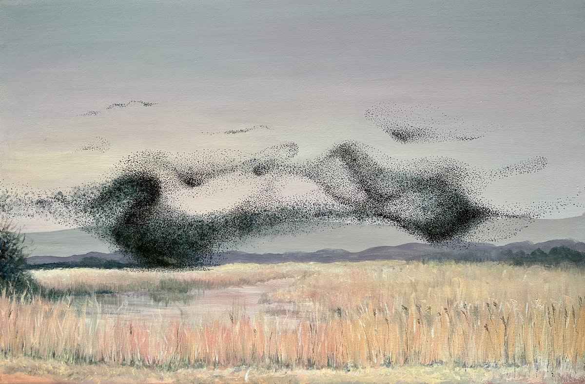 themac49 tweet media