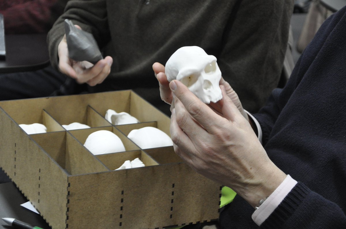 iex005's tweet photo. Modelos impresos en 3D de los cráneos prehistóricos realizados por Patricia Durán y José Mª Terrón #iex005 https://t.co/EbYUQo9wTa