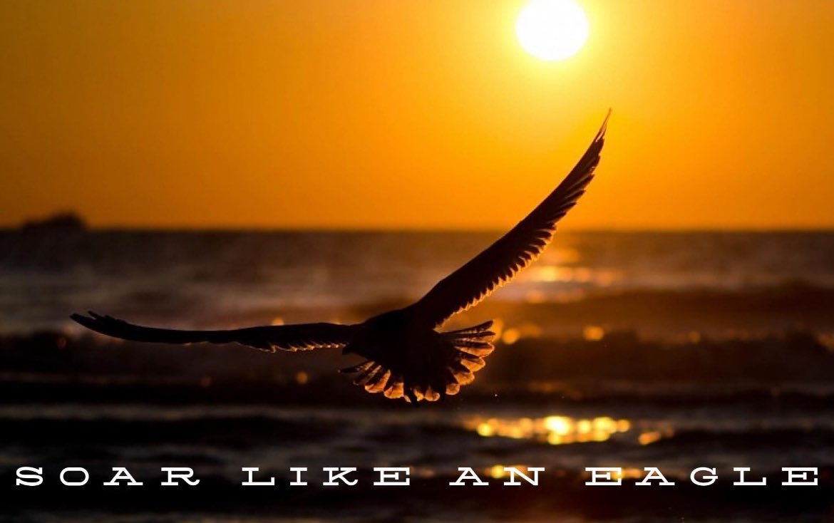 SOAR LIKE AN EAGLE 🦅 

Success may seem so far away for most?

If you want to learn how my leadership team and I Soar Like Eagles -> bio 🔗 

Brett Hudson
#mentor
.

 #mindset #livingthedream #nonstoptothetop #godisamazing #theworldisyouroyster #10Xsuperlife #affirmation