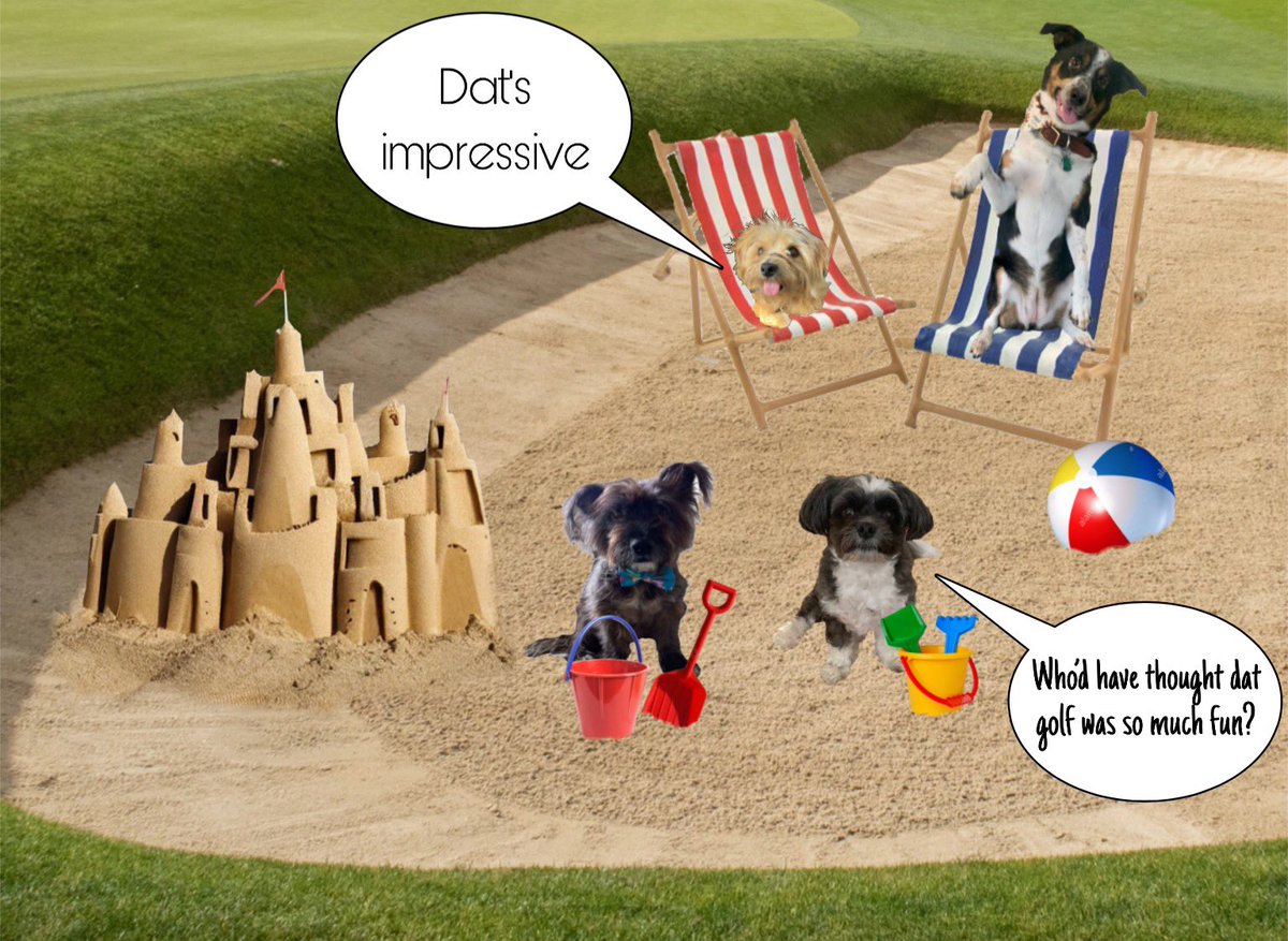 Wot on erf iz goin on ere?@dougal_dog @MayleePup @jackiewhitting5 @BeanPaisley somehow me finks Deys got de wong idea abowt golf ⛳️ #zzst