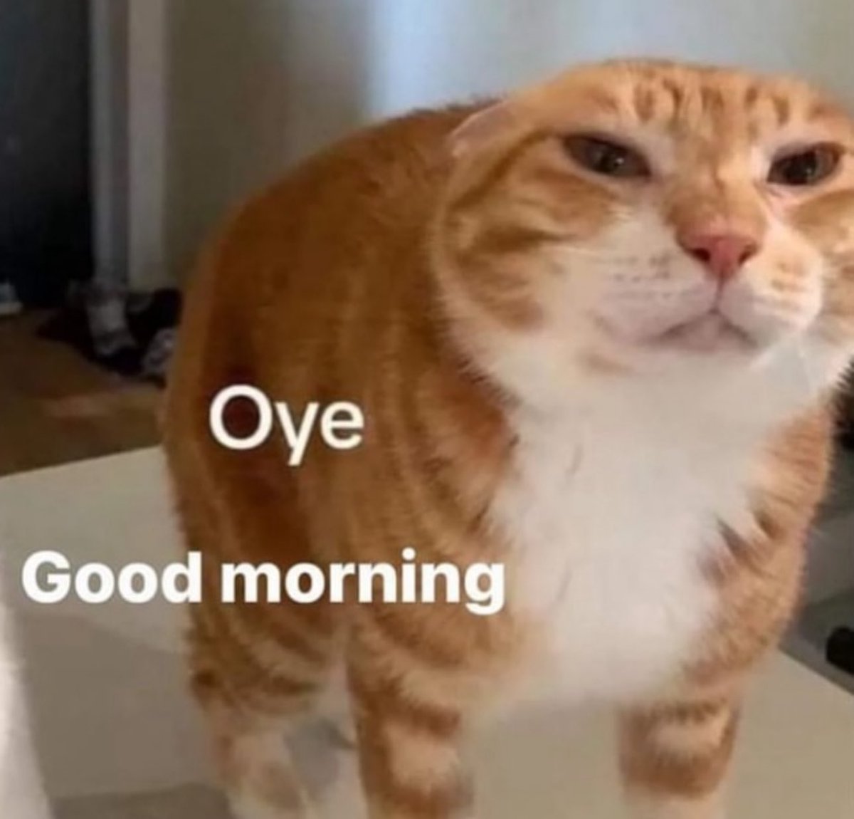 𝐦𝐢𝐬𝐜𝐡𝐚 𝐛𝐚𝐜𝐡𝐢𝐧𝐬𝐤𝐢. (@bachlnskl) on Twitter photo 