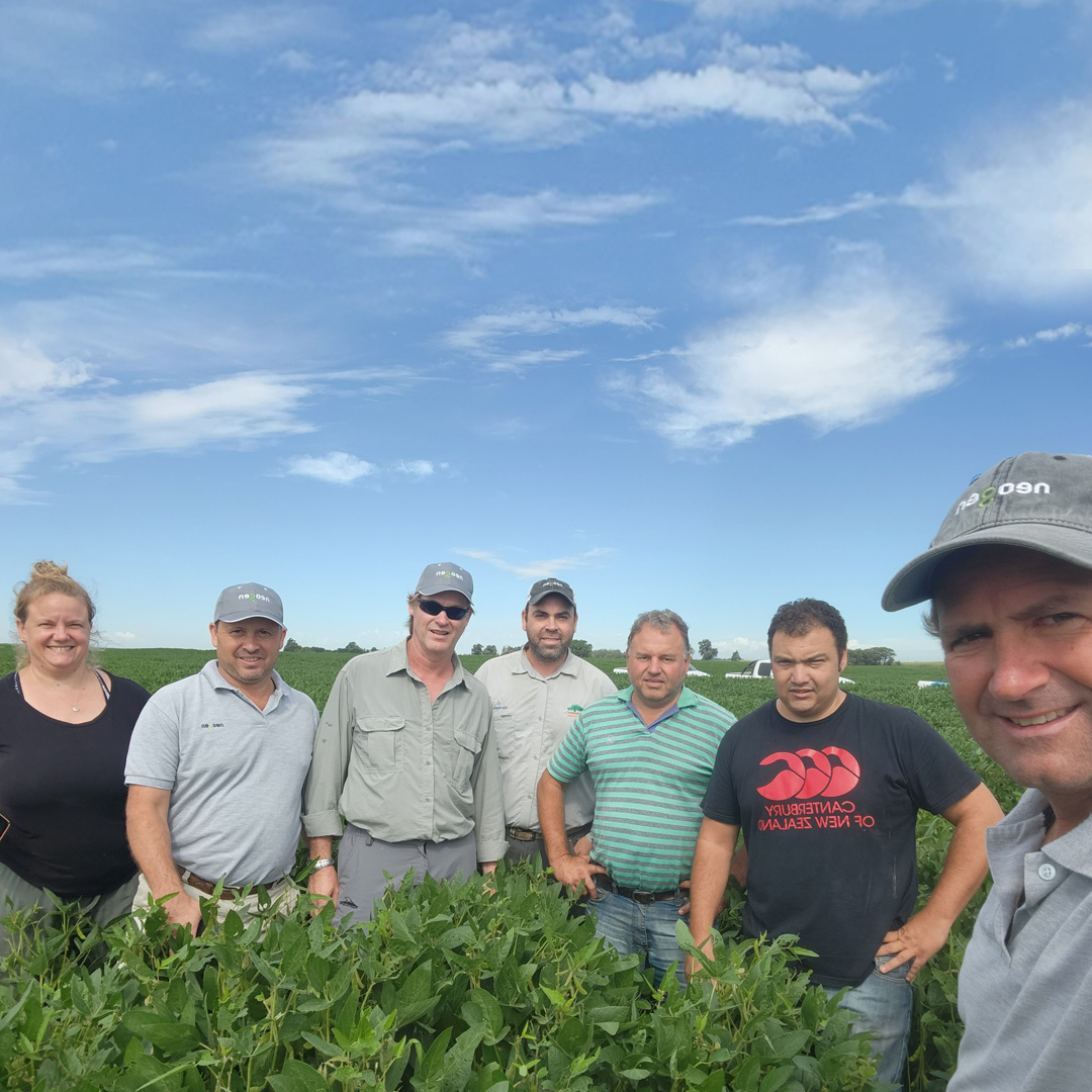 Recorrida  soja junto a Fernando Peiteado Responsable Comercial para la zona y Sebastián Depino, Gerente Técnico de Semillero Neogen de Grupo Don Mario; los productores Pablo Iglesias y Carlos Ferradás y al asesor Juan Pablo Rebollo.