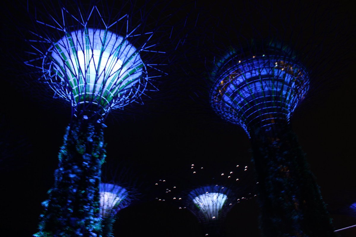 HamiltonArnald's tweet photo. Singapura.... Um país muito lindo e moderno. https://t.co/GRFuWhstb8