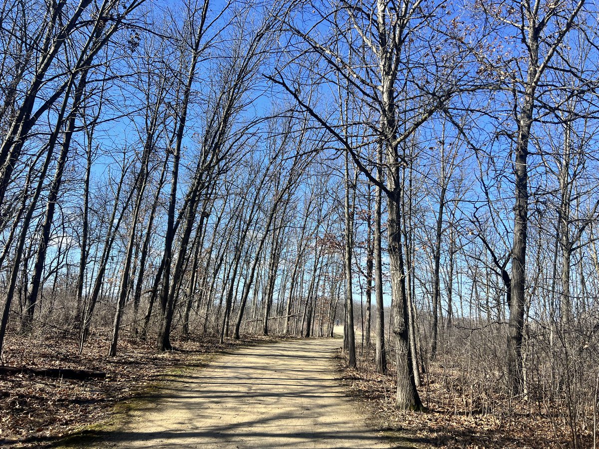 Dr. Monica Schroeder, pHCLE, NIU & DePaul alumna tweet media
