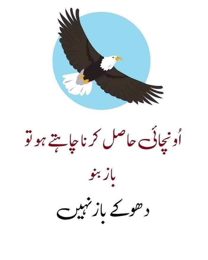 IYazmani22234's tweet photo. #gill #_pakistan https://t.co/zzyX7QavUU