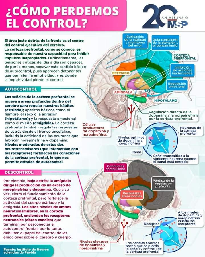 RebolledaGil's tweet photo. Cómo perdemos el control??? 👇👇👇👇👇 https://t.co/4jxBVJpxaS