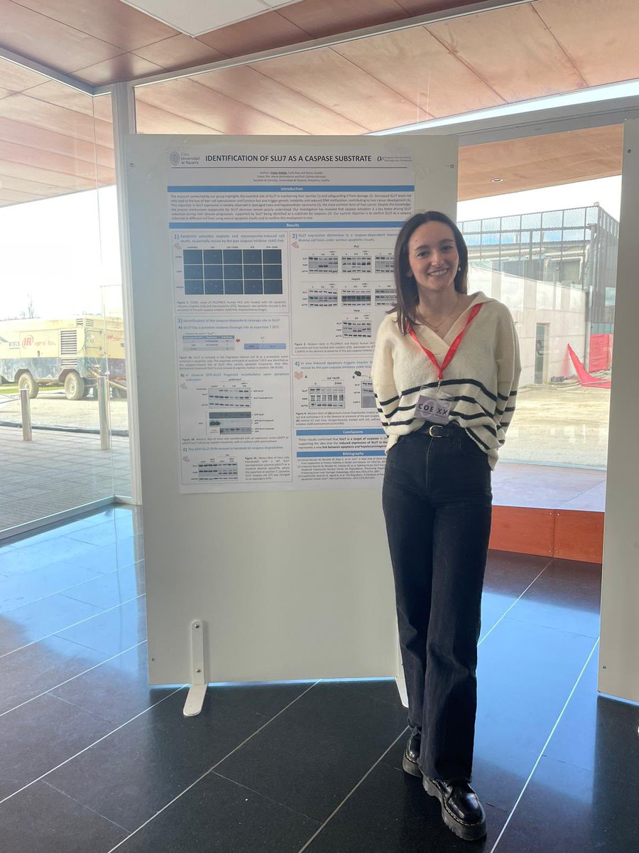 Carmen Berasain (@carmenberasain) on Twitter photo Orgullosa de la participación de Iratxe Aldabe y Ane Álava en el <a href="/COEunav/">Congreso de Oncología para Estudiantes</a> . Gran trabajo!! Orgullosa de la participación de Iratxe Aldabe y Ane Álava en el <a href="/COEunav/">Congreso de Oncología para Estudiantes</a> . Gran trabajo!!