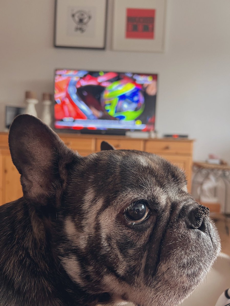 alexa_oso's tweet photo. Enzo (Ferrari) #F1naSPORTTV https://t.co/DLmgD5nxsK