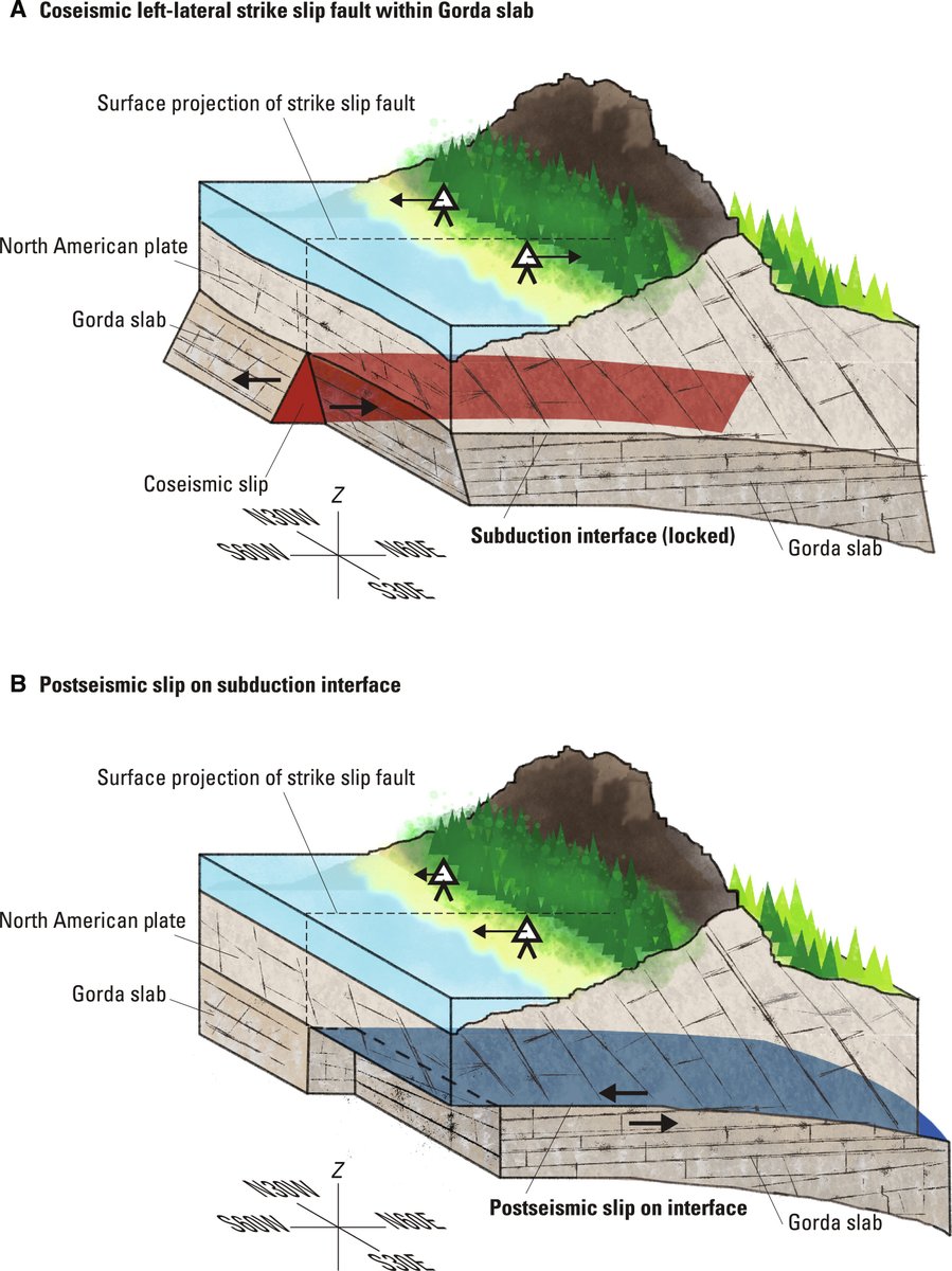 ScienceAdvances's tweet image. Observations and modeling reveal how a 6.4-magnitude #earthquake that originated near Ferndale, California in December 2022 triggered slip motion on the Cascadia #subduction zone megathrust fault in the month following the rupture. scim.ag/69I