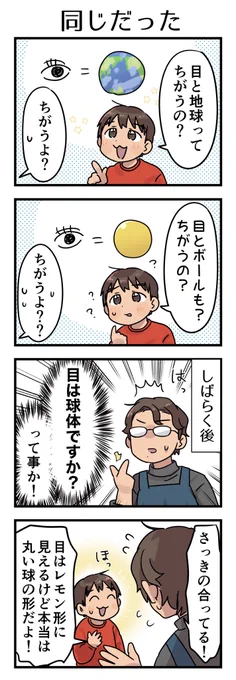 前の日に軽く教えた事(目は球体だよ)を確認したいけど「きゅうたい」という言葉が分からなくて同じ形のものを挙げてきた。家事でバタバタしてる時で「ちがうよ?😵‍💫」しか出なかった🌏

#漫画が読めるハッシュタグ #4コマ漫画 #コミックエッセイ #育児漫画 #5歳 