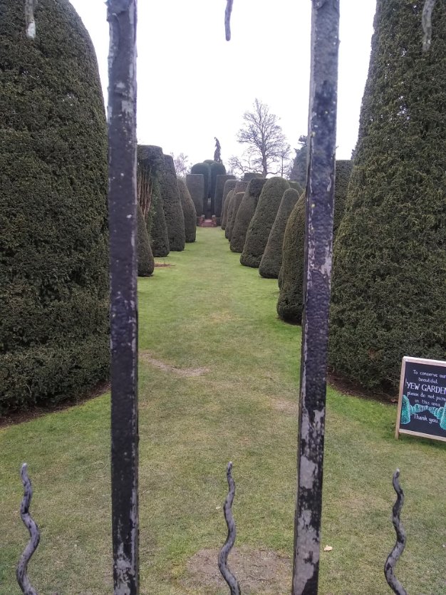 17th C stained glass and a glimpse of the yew garden's topiary from yesterday's mooch to Packwood House